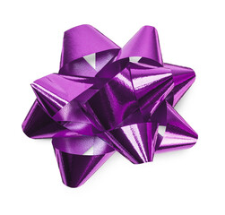 Purple Gift Bow with Shadow Isolated Ready for Your Present. Transparent PNG.