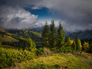 Obraz premium Beautiful Autumn day on a Hohe Veitsch mountain in Alps