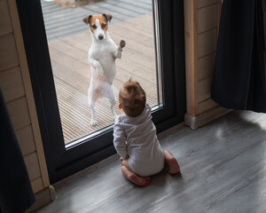 The dog stands at the patio window and asks to go inside the house to the baby boy. 
