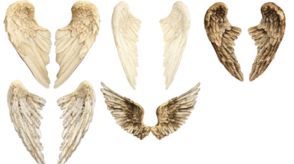 Varied Angel Wings on Transparent Background Generative AI