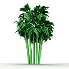 3d rendering of a green bamboo plant with lush foliage on a white background, creating a vibrant and natural image