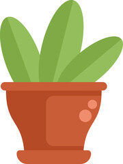 Green plant with lush leaves growing in a clay pot with drainage holes