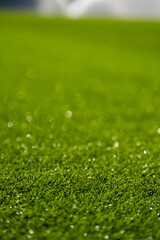 grass - football pitch - height and density - watering
