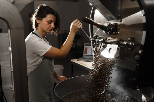 Coffee roaster checks freshly roasted coffee beans in the factory. Organic coffee grains in the special equipment. Roasted coffee beans production.