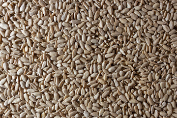 Peeled Sunflower Seeds Background: A Culinary Canvas of Shell-free Sunflower Seeds, Creating a Lively and Textured Background for Gourmet Cooking - Top View, Flat Lay