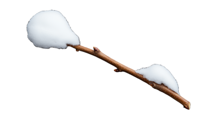 Snow-covered branch on transparent background
