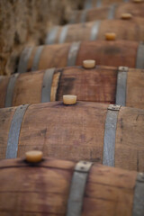 Barricas de vino en Bodega 