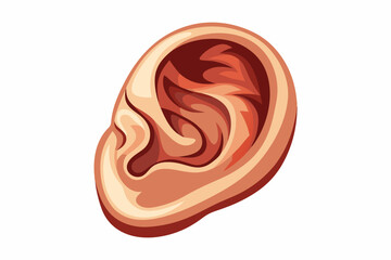 Human ear isolated on white vector art illustration