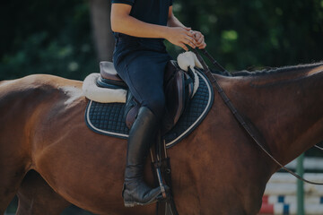 A person wearing black riding gear sits on a brown horse during a training session. The image...