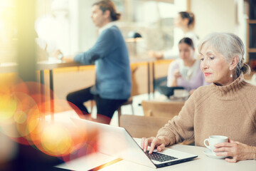 Positive modern aged female freelancer sitting at table in cafe with cup of coffee and laptop, browsing websites on internet