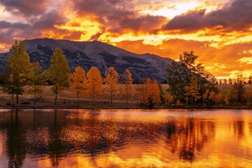 Golden Sunrise Glowing Over Quarry Lake Park