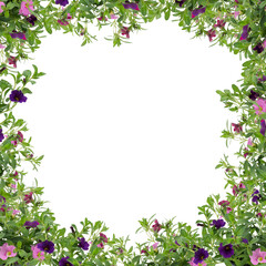 green flower frame cut out isolated transparent background