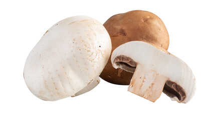 fresh mushrooms cut out isolated transparent background