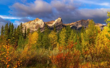 Lush Autumn Landscape In The Mountains