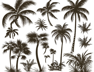 set of black palm tree silhouettes on a white background