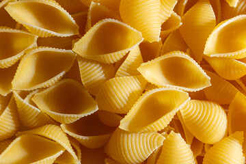 Uncooked Conchiglie Pasta: A Culinary Canvas of Conchiglie Macaroni, Creating a Lively and Textured...