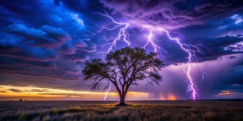 Fototapeta premium Captivating Twilight Scene of a Tree Illuminated by a Lightning Strike Against a Dramatic Sky with Deep Blue and Purple Hues
