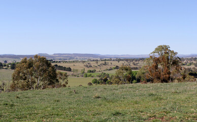 Obraz premium Landscape view of trees, grass, hills and open fields under a clear blue sky in Australia