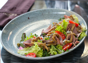 A Fresh Mixed Salad that is bursting with an array of Vegetables and Meat Garnish on top