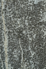 Texture or background of cement wall, abstract gray concrete texture background for showing, concrete texture, plaster, stucco wall.