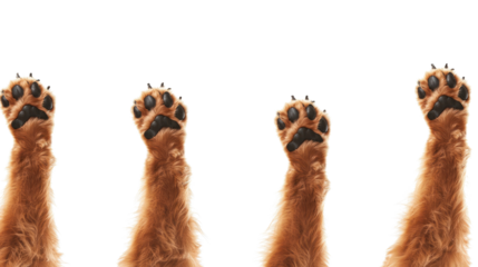 Playful Golden Retriever Paws on Transparent Background Generative AI