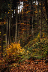 Herbst über Blomberg