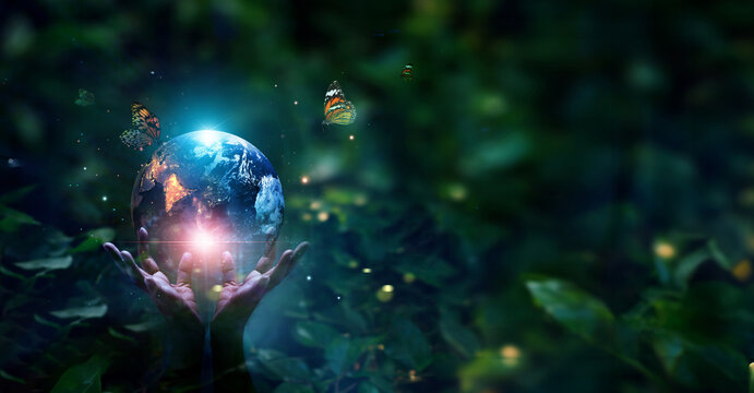 Hands protecting blue earth on tropical green forest nature  background, Earth day, Ecology and Environment concept.