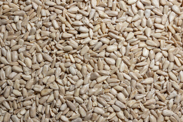 Peeled Sunflower Seeds Background: A Culinary Canvas of Shell-free Sunflower Seeds, Creating a Lively and Textured Background for Gourmet Cooking - Top View, Flat Lay