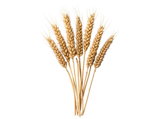 Fototapeta premium A Lush Bunch of Golden Wheat Ears on a Transparent Background for Freshness and Natural Harvest Themes in Photography Projects