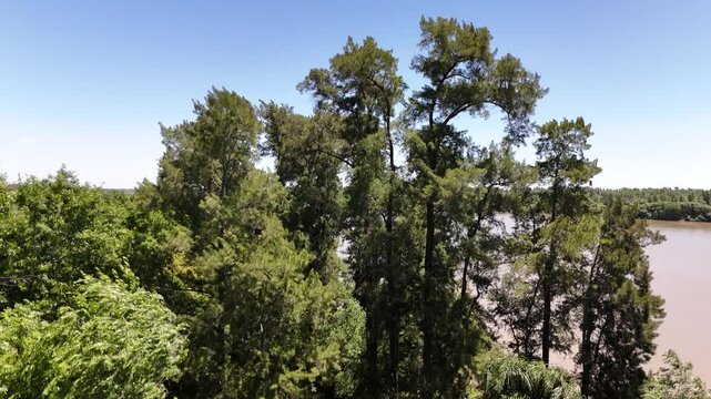 r&iacute;o paran&aacute; con arboles, mucho verde escobar, buenos aires, argentina, 