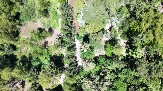 r&iacute;o paran&aacute; con arboles, mucho verde escobar, buenos aires, argentina, 