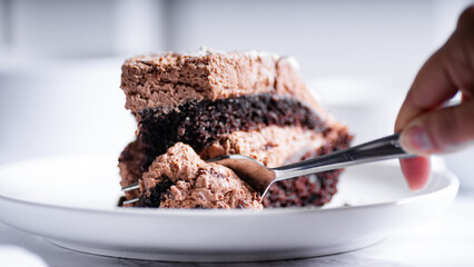 Chocolate cake with fork on white plate. Selective focus.