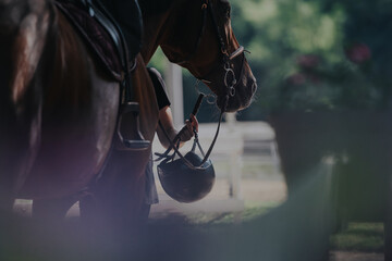 A close-up image of a horse and rider, focusing on the preparation for an equestrian session. The...