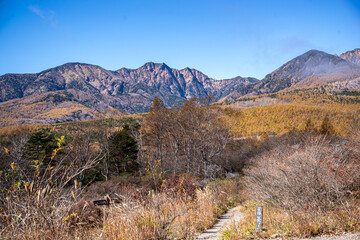 秋の深まる山梨県清里高原美しの森の景観