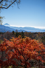 山梨県清里高原天女山から望む初冠雪の富士山と紅葉
