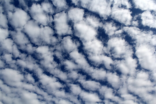 Blue sky filled with white cirrocumulus and altocumulus clouds pattern abstract textured background
