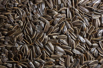 Non Salty Roasted Sunflower Seeds in Shell: A Culinary Canvas of Sunflower Kernels, Creating a Lively and Textured Background for Gourmet Cooking. Scattered Sun Flower Seeds - Top View, Flat Lay