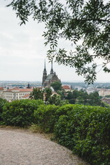 Obraz premium panorama of the city of Brno and the cathedral