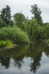 Fototapeta premium lake in the forest