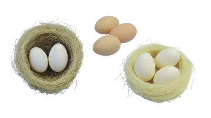 Nests With Various Colored Eggs on a Transparent Background Generative AI