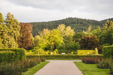 autumn park in the park