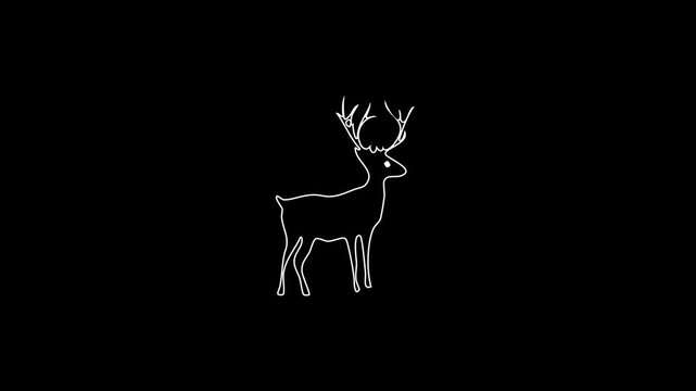 silhouette of a deer on black