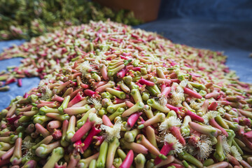 Close up photo of raw cloves that have just been picked from the tree