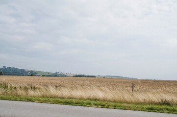 Obraz premium road in the field