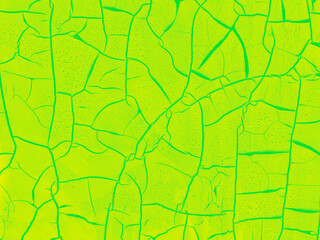 A cracked vibrant lime green surface creates an abstract background of random intersecting dark green lines.