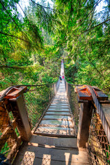 Fototapeta premium Twin Falls Suspension Bridge in Lynn Canyon North Vancouver