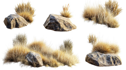Collection of Rocks and Grasses From Savanna Landscapes Generative AI