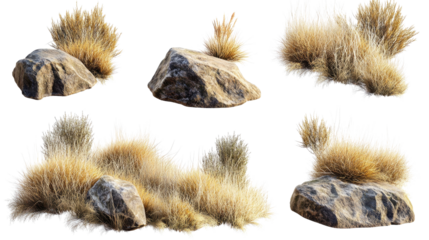 Collection of Rocks and Grasses From Savanna Landscapes Generative AI