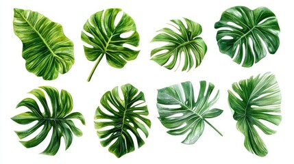 Vibrant Green Tropical Leaves Collection