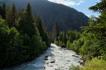 View of the Klukhor River near the Kosygin glade (Buulu Tala) in the Gonachkhir Gorge Dombai on a sunny summer day, Dombai, Karachay-Cherkessia, Russia © Ula Ulachka